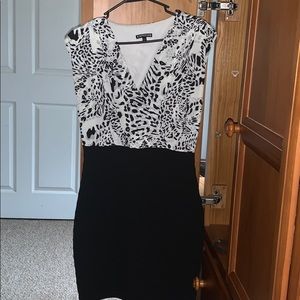 Express Dress
